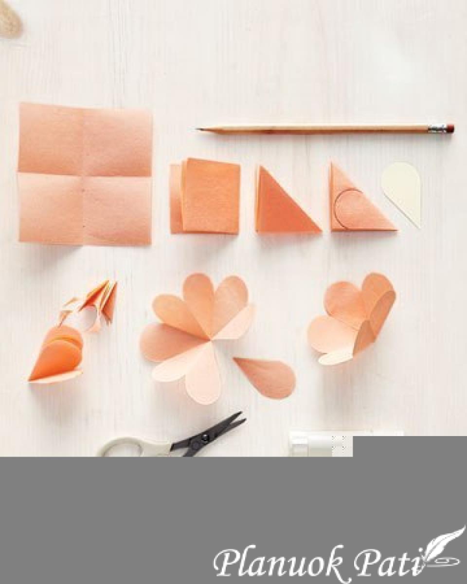 Atvirutė siurprizas