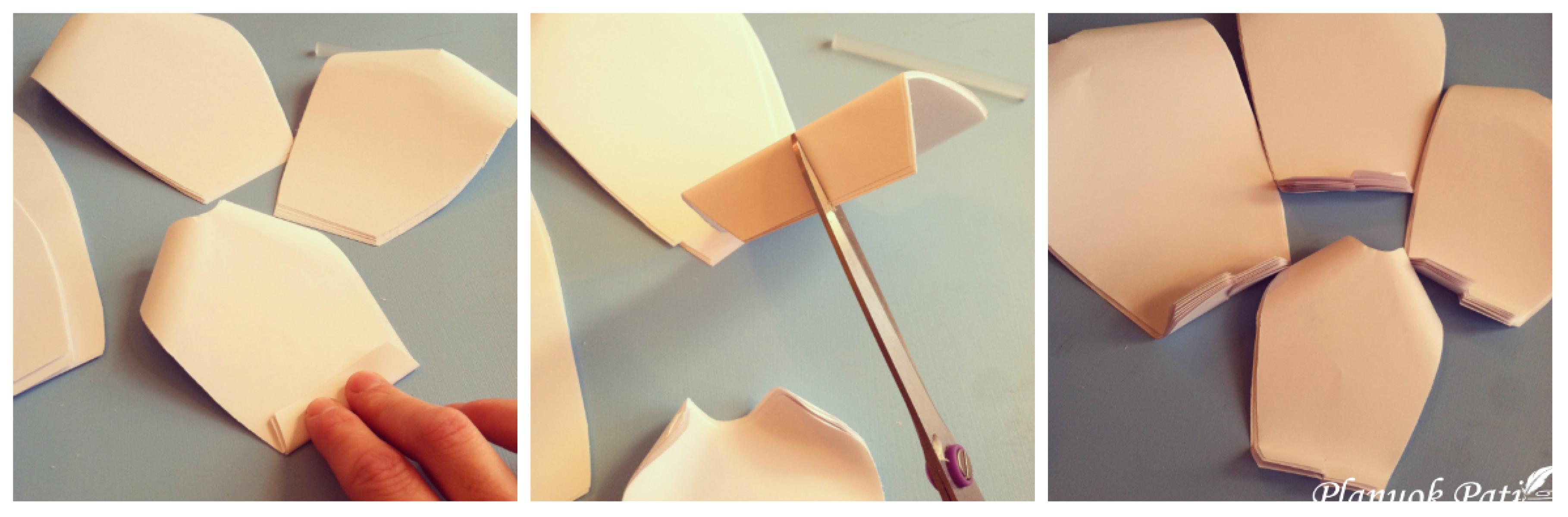 Kaip pasidaryti milžiniškų gėlių sieną kuo pigiau