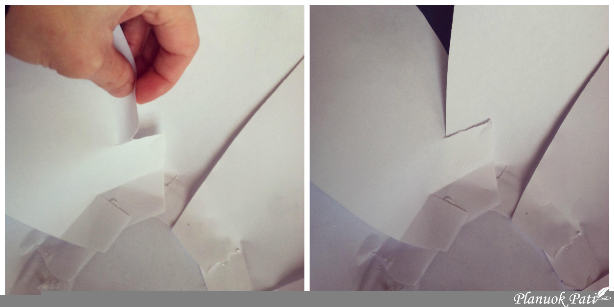 Kaip pasidaryti milžiniškų gėlių sieną kuo pigiau