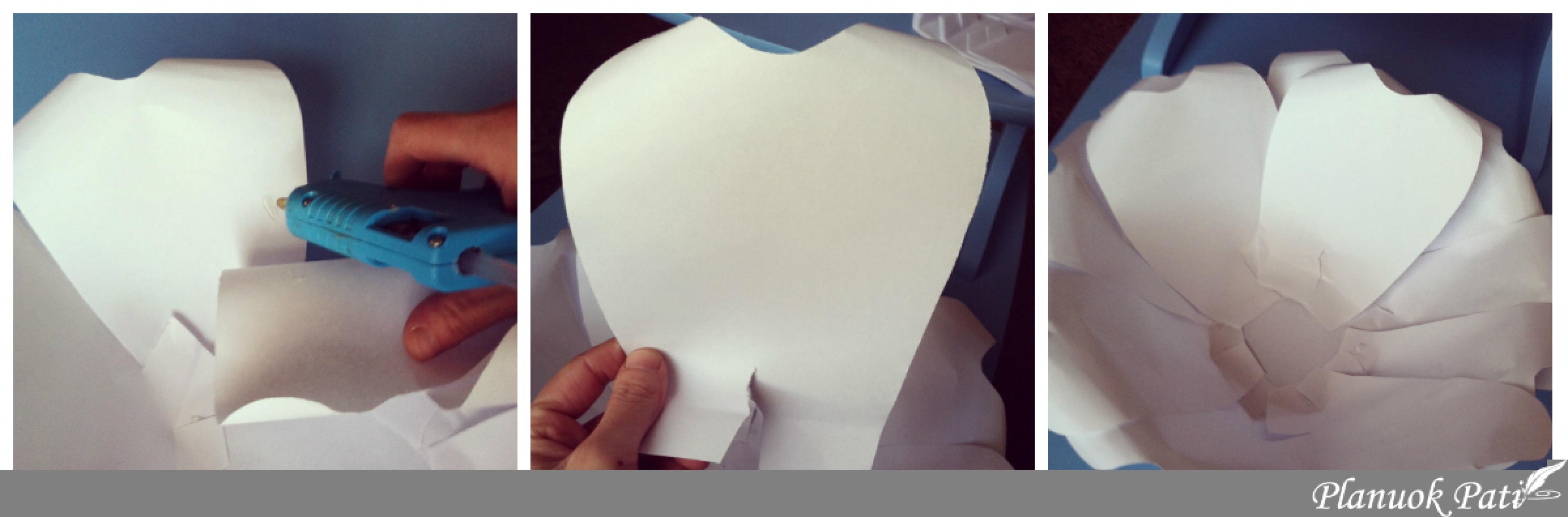 Kaip pasidaryti milžiniškų gėlių sieną kuo pigiau