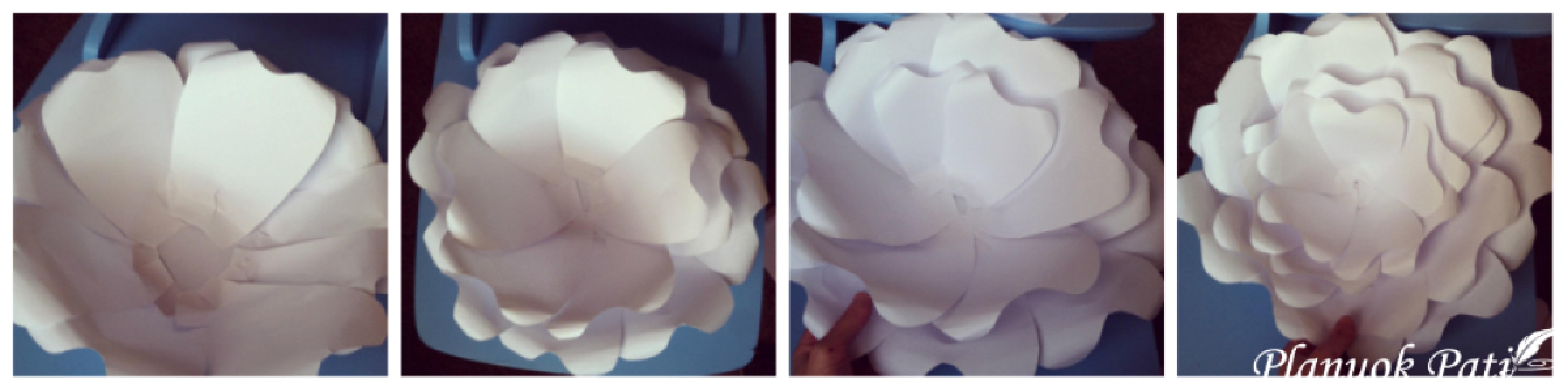 Kaip pasidaryti milžiniškų gėlių sieną kuo pigiau