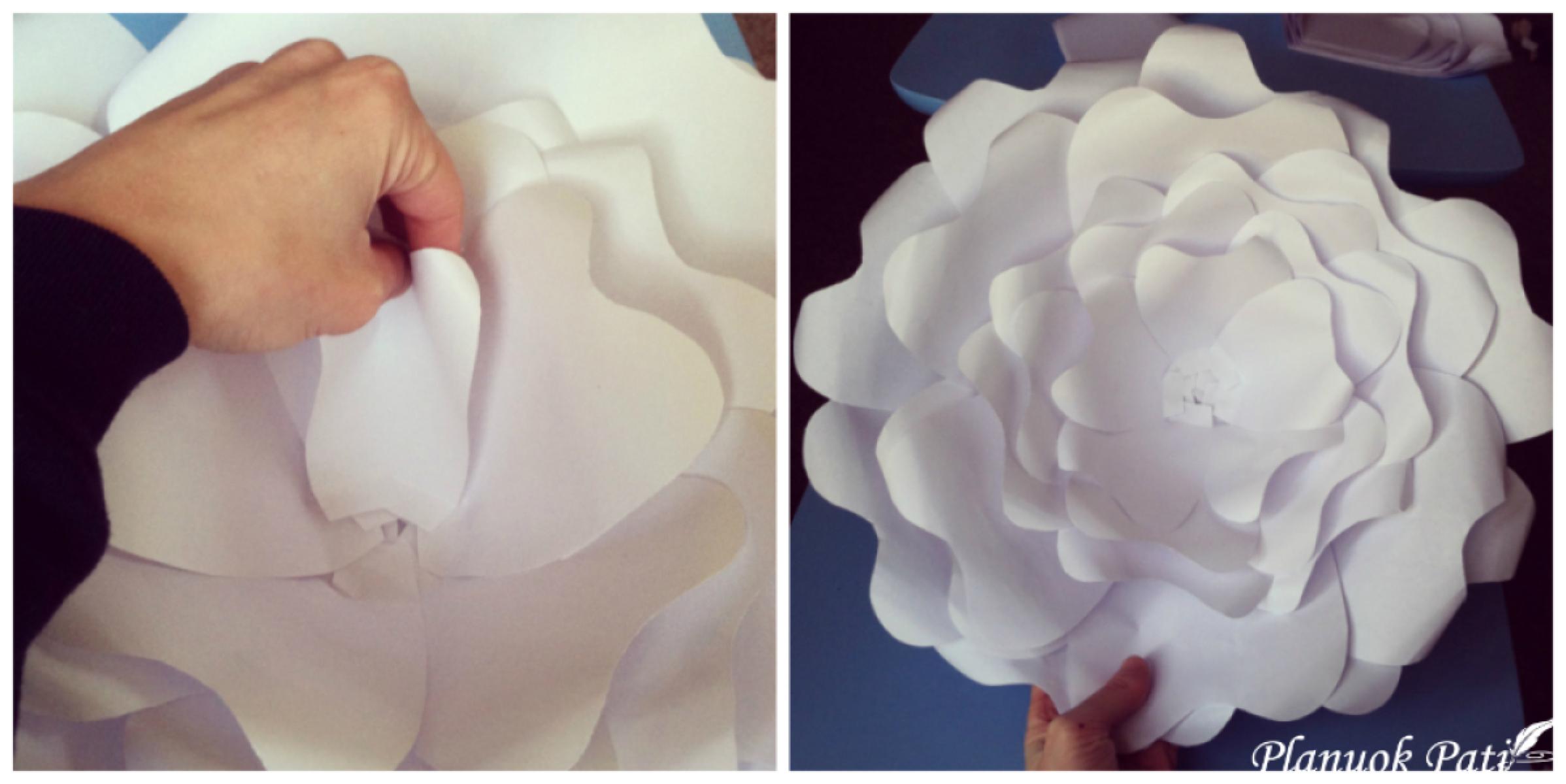 Kaip pasidaryti milžiniškų gėlių sieną kuo pigiau