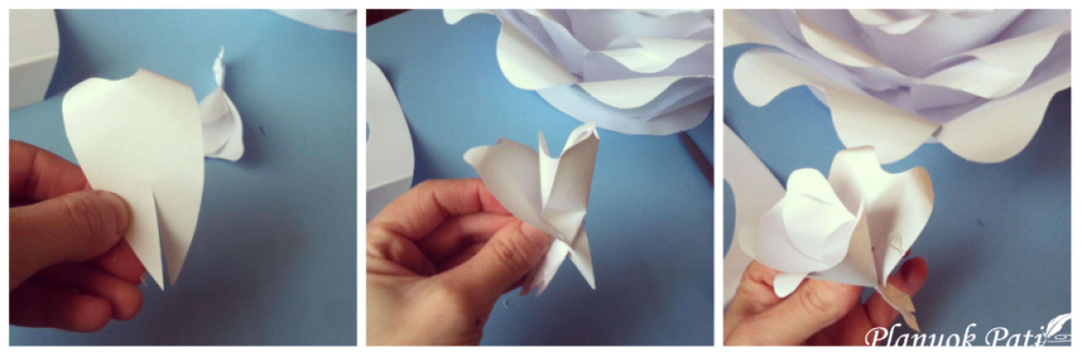 Kaip pasidaryti milžiniškų gėlių sieną kuo pigiau