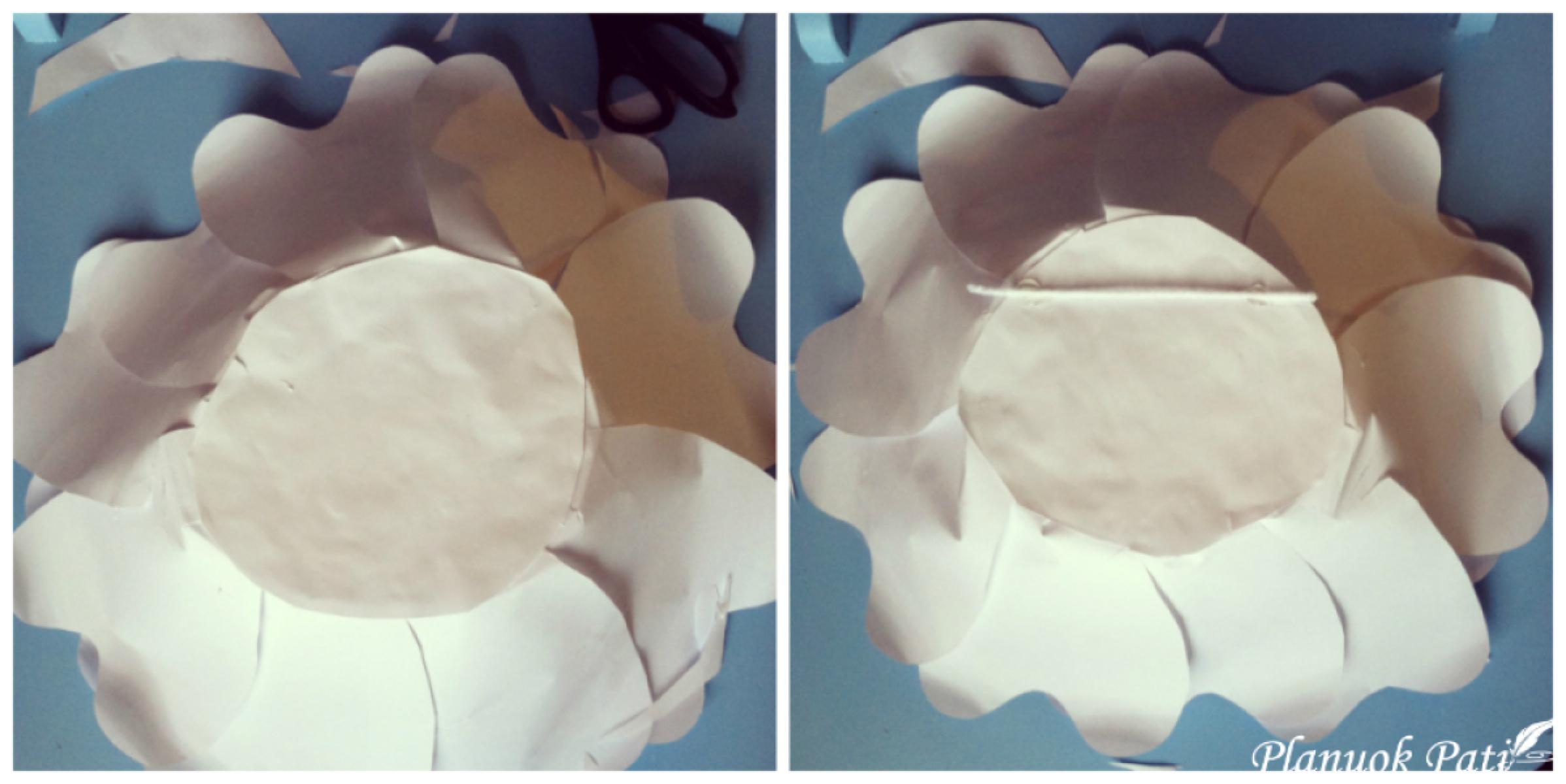 Kaip pasidaryti milžiniškų gėlių sieną kuo pigiau