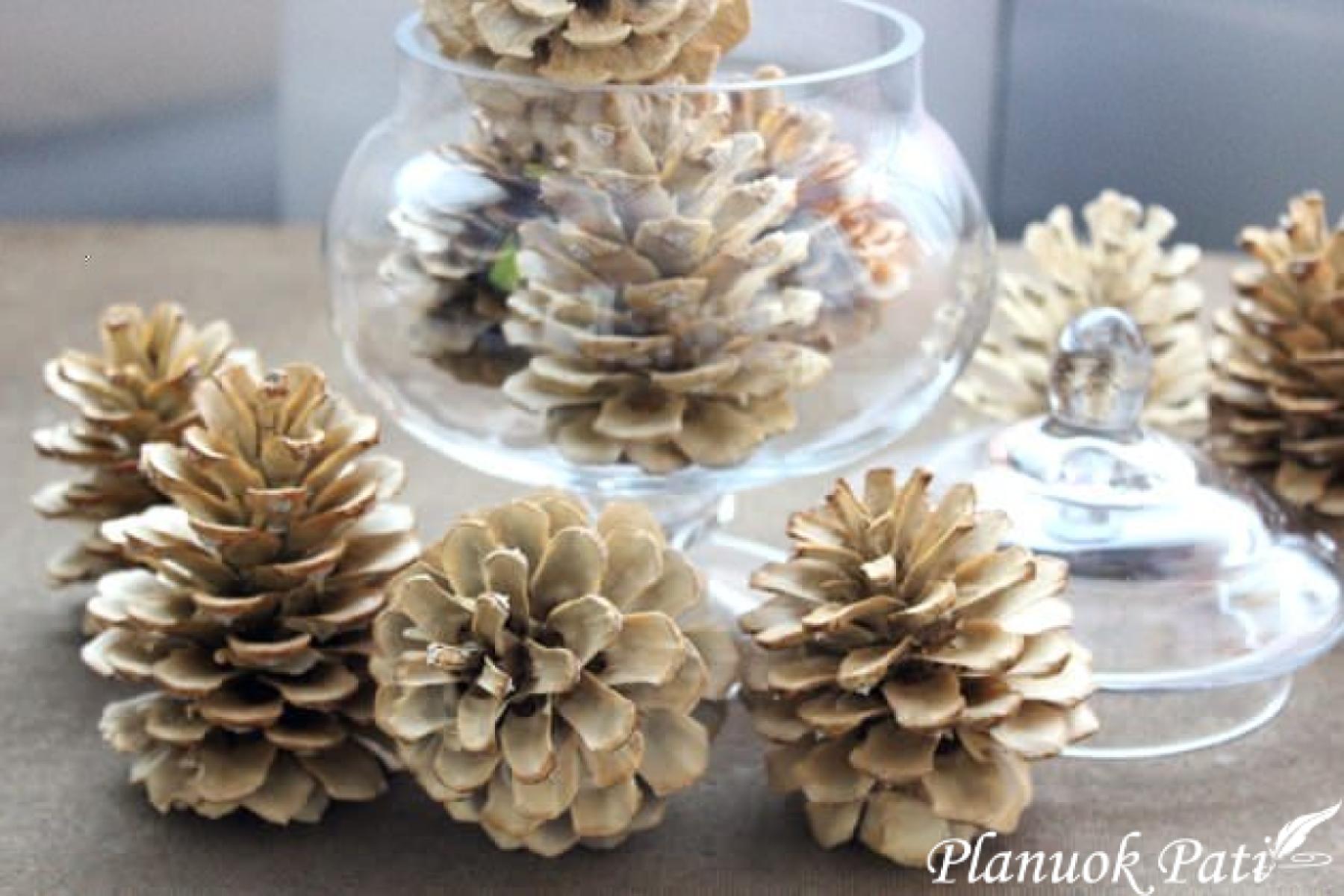 Kaip išbalinti kankorėžius