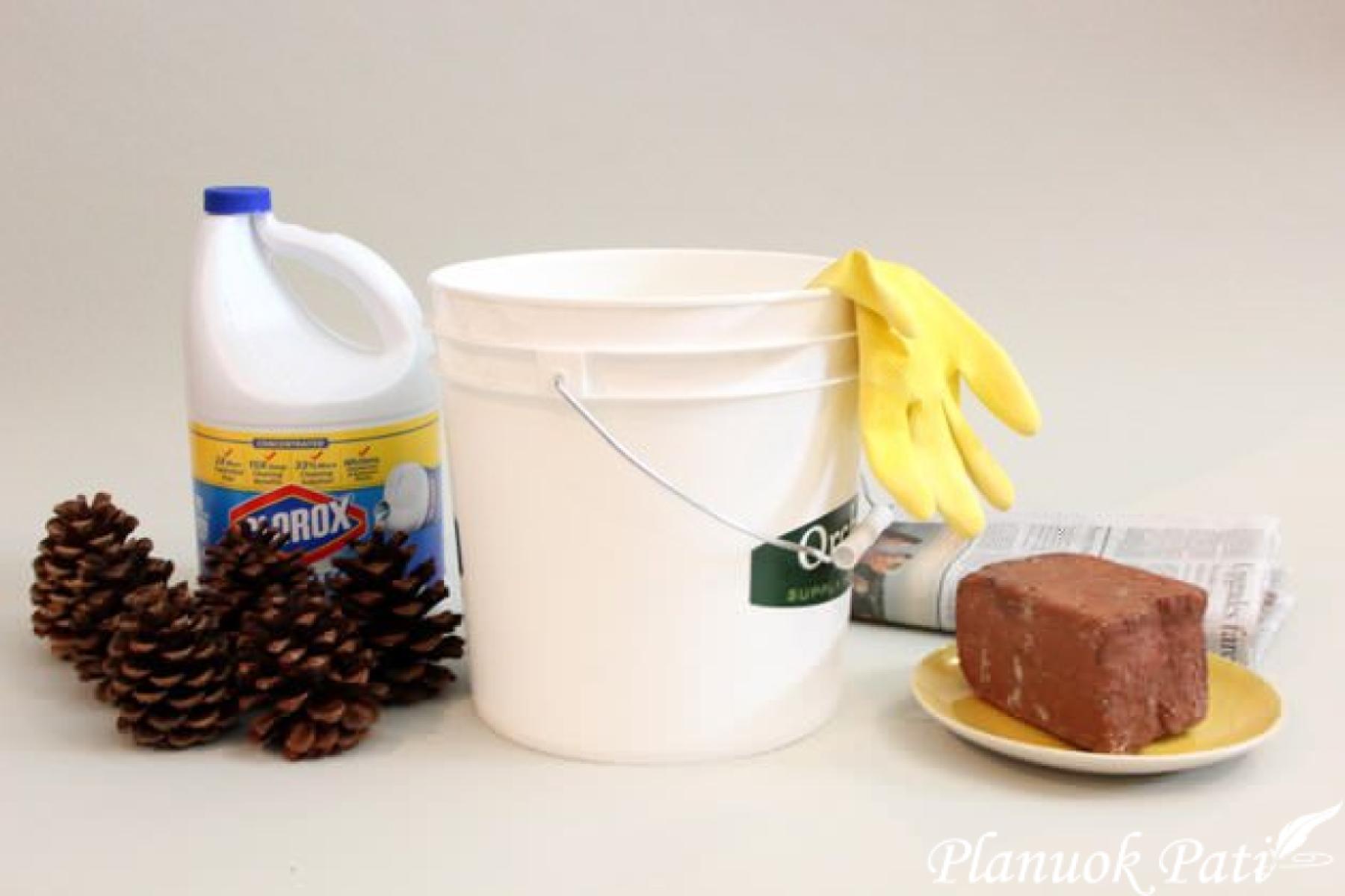 Kaip išbalinti kankorėžius