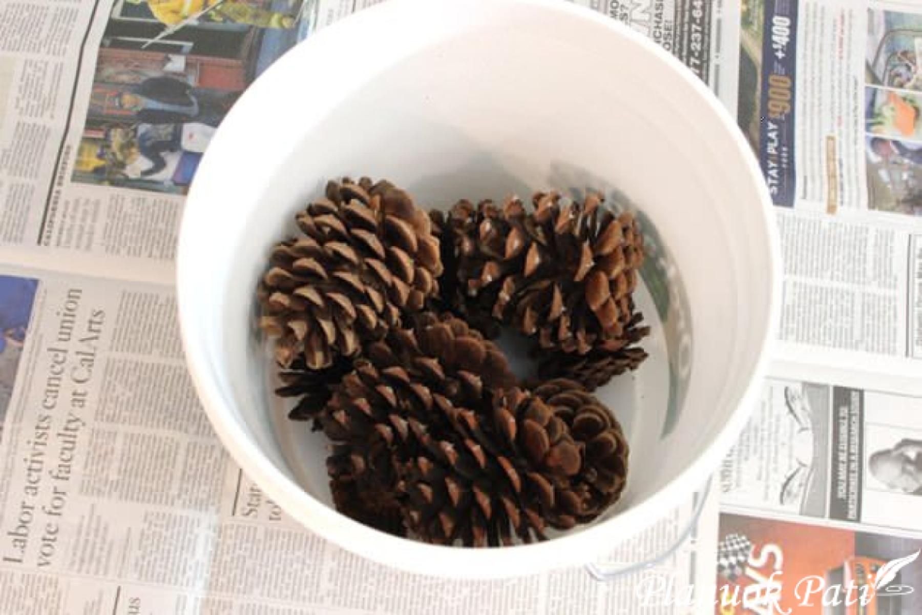 Kaip išbalinti kankorėžius