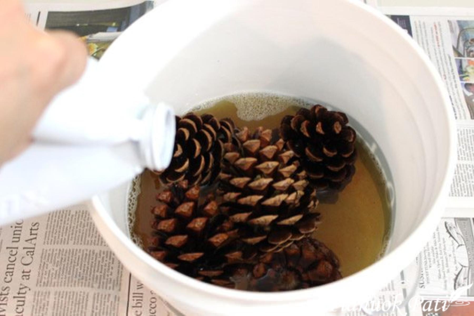 Kaip išbalinti kankorėžius