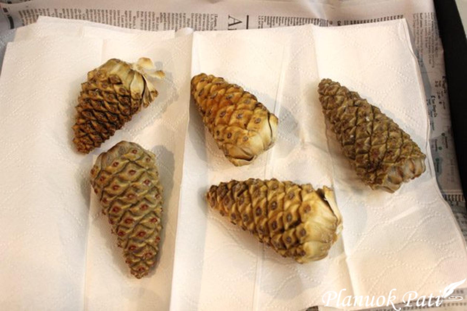 Kaip išbalinti kankorėžius