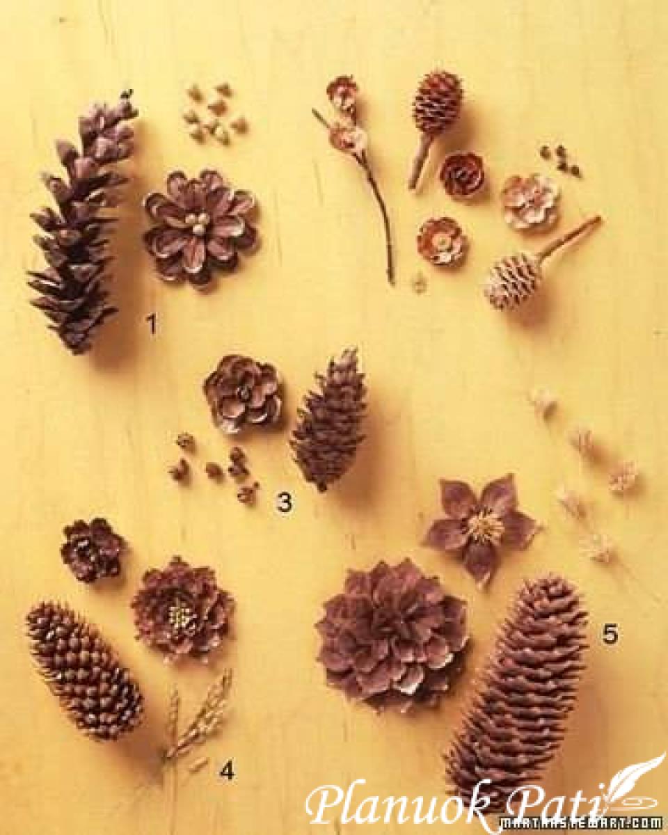 Gėlytės iš kankorėžių