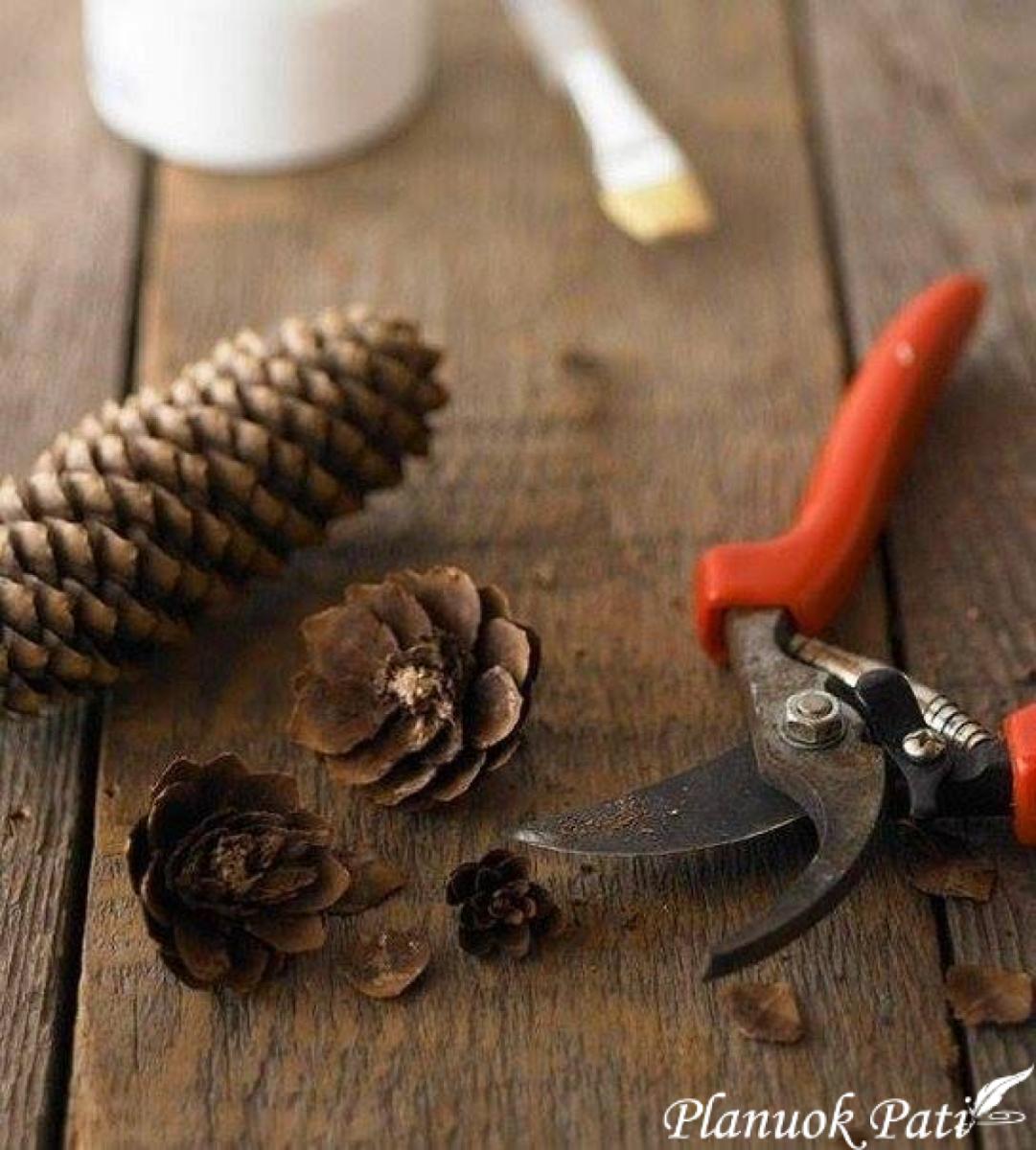 Gėlytės iš kankorėžių