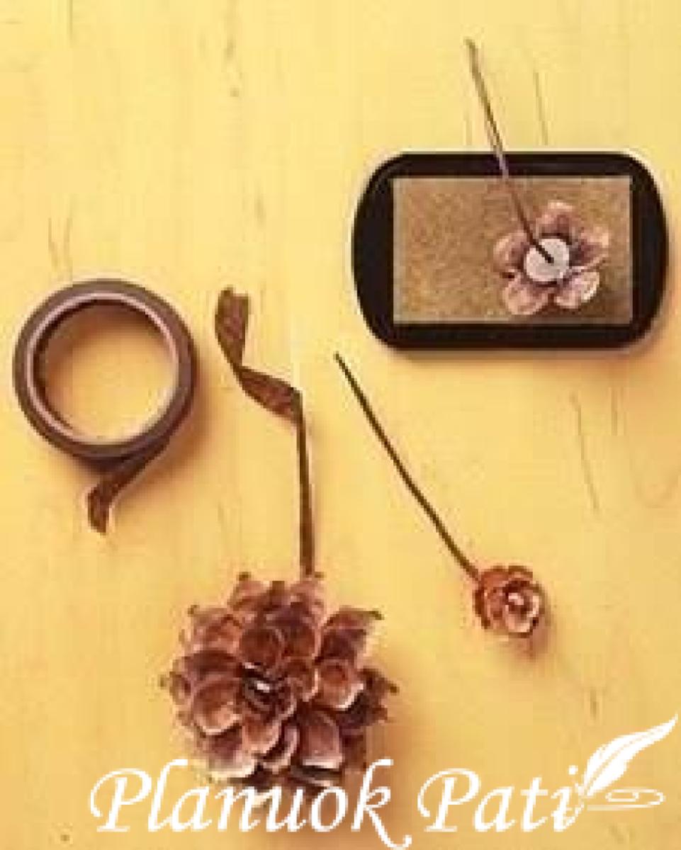 Gėlytės iš kankorėžių