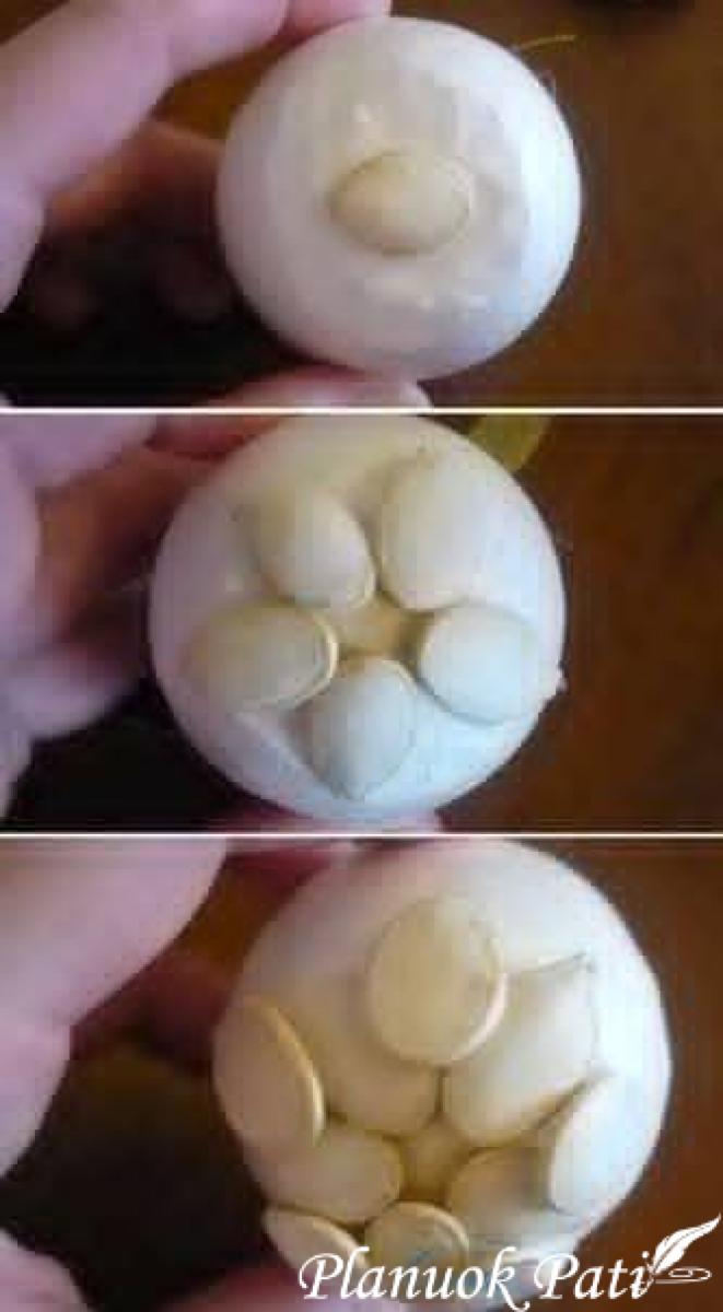 Bumbulas iš moliūgo sėklų