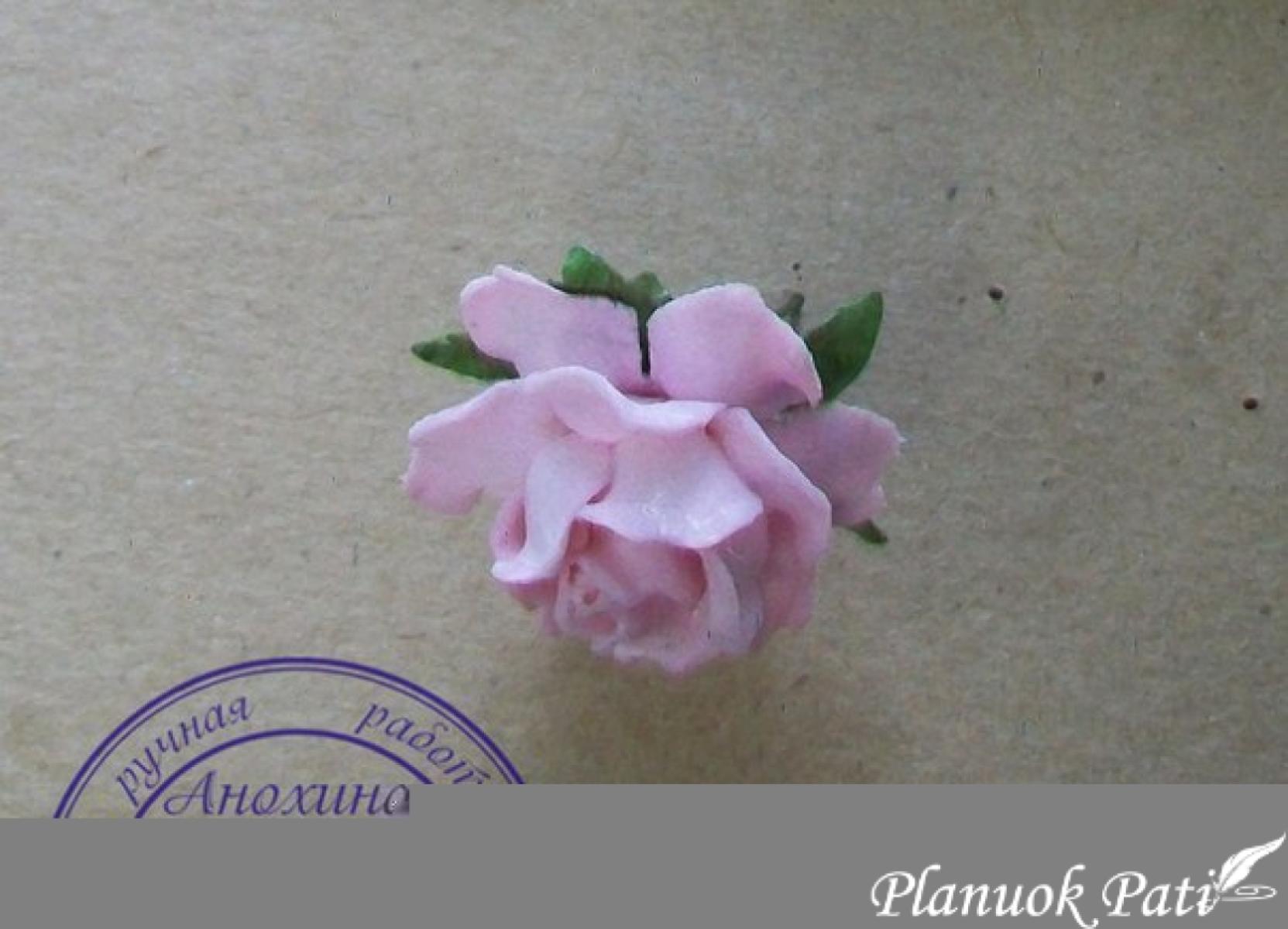 Šventinių taurių  dekoras