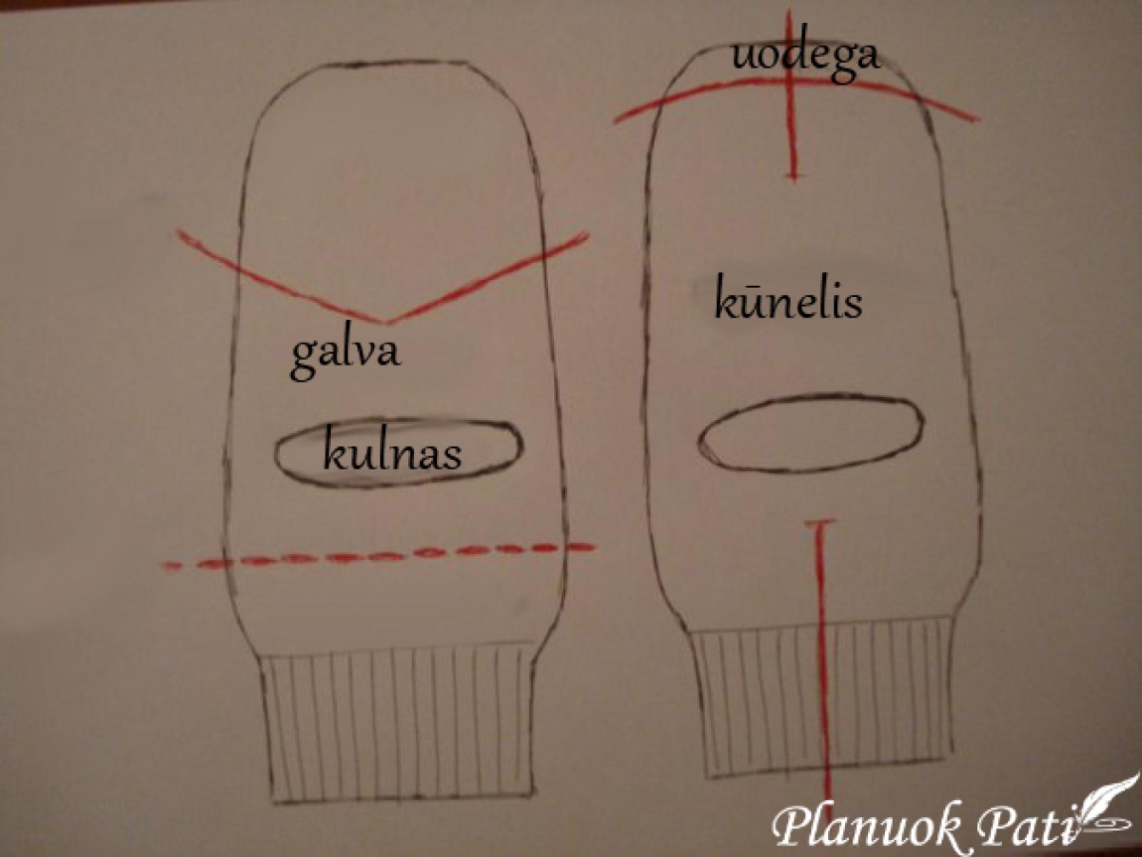 Kačiukas iš kojinės