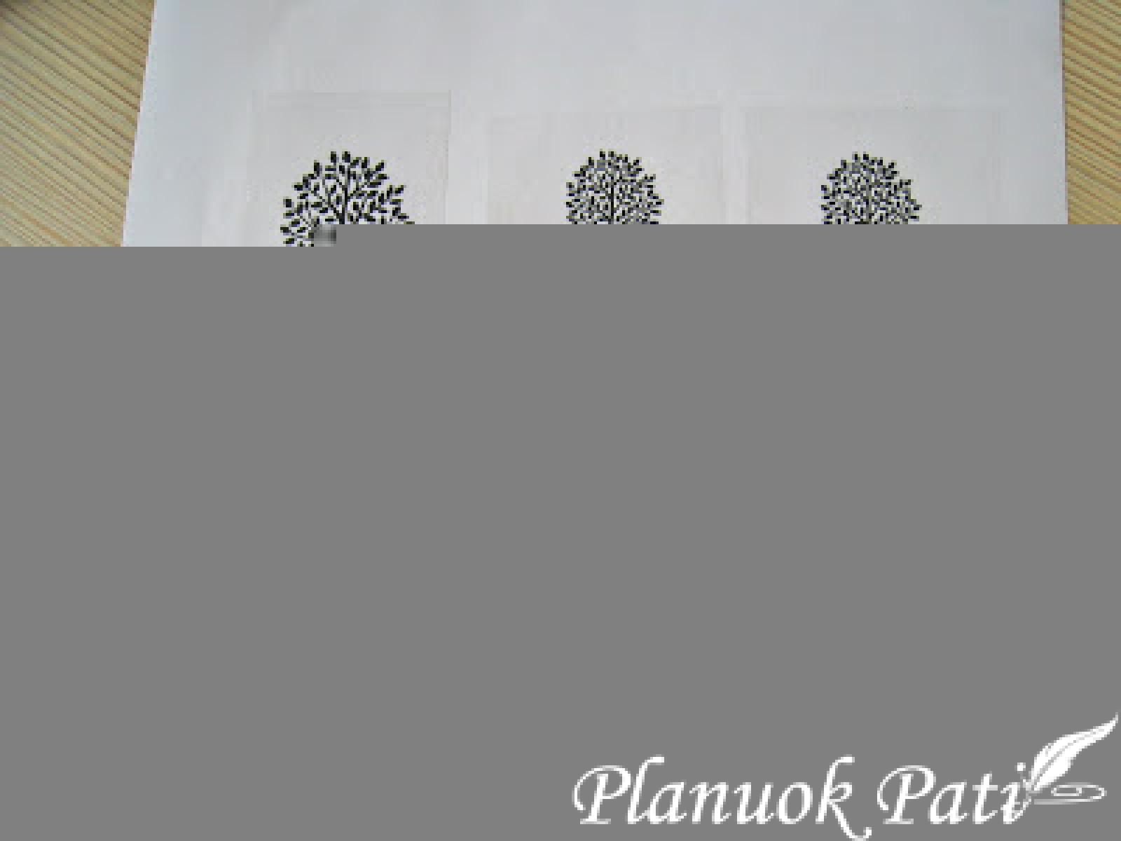 Kaip perkelti paveiksliuką ant stiklo