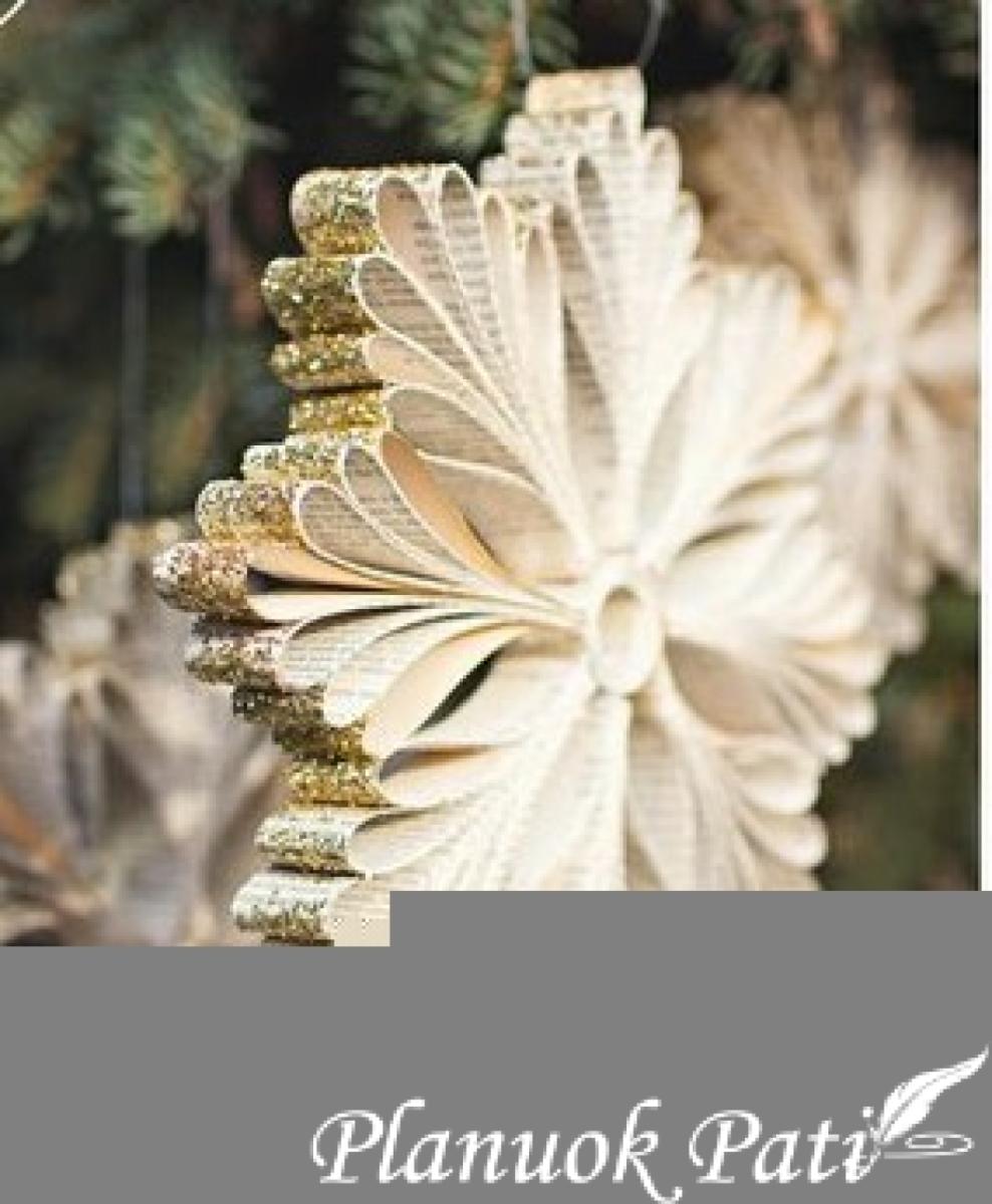 Snaigės iš knygos lapų