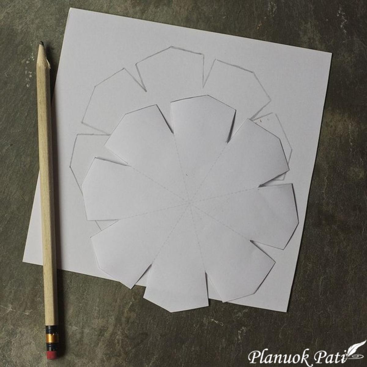 Kalėdinė žvaigždutė