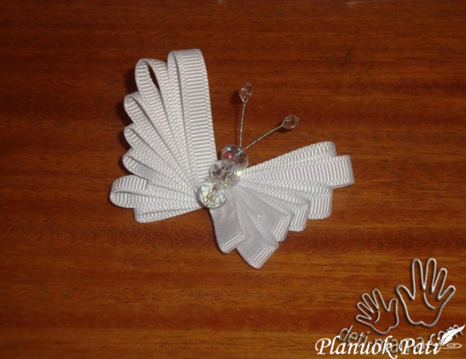 Drugelis iš kaspinėlio