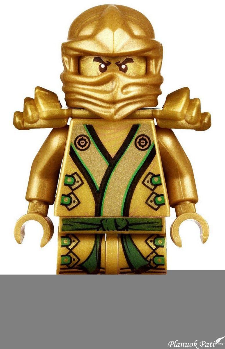 Vaikų gimtadienis tema Ninjago