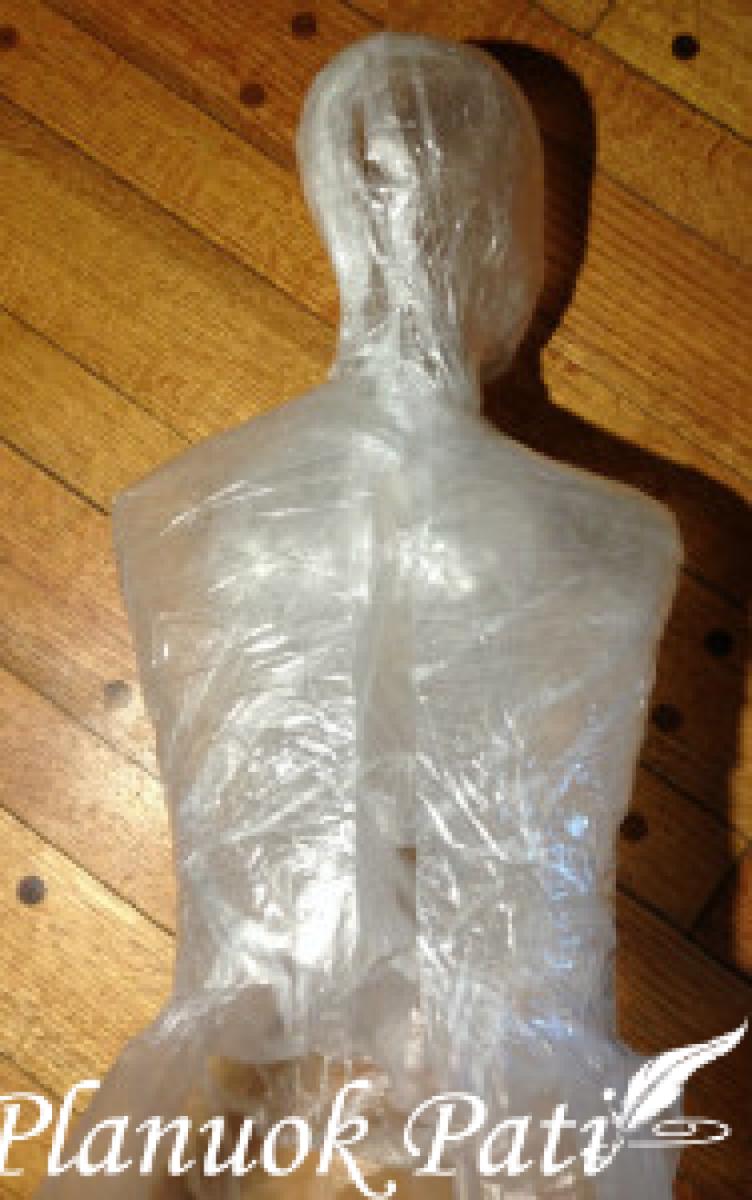 Vaiduoklis siautulio šventei