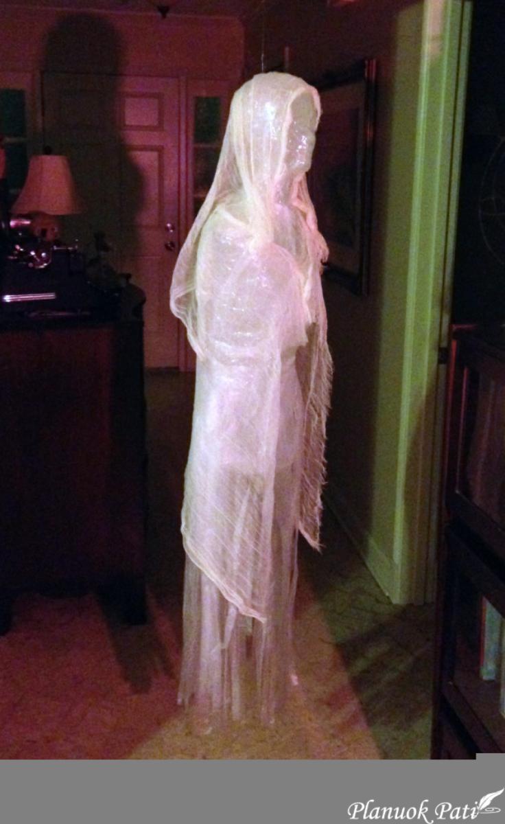 Vaiduoklis siautulio šventei