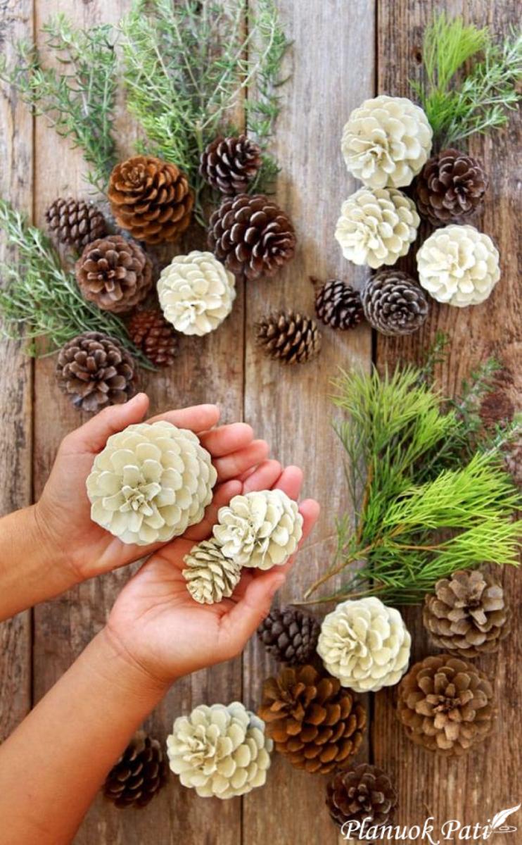 Kankorėžių dažymas