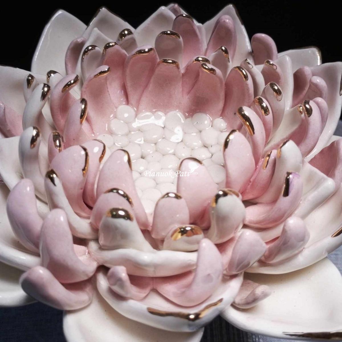 Šeimos židinys - Rožinė lelija