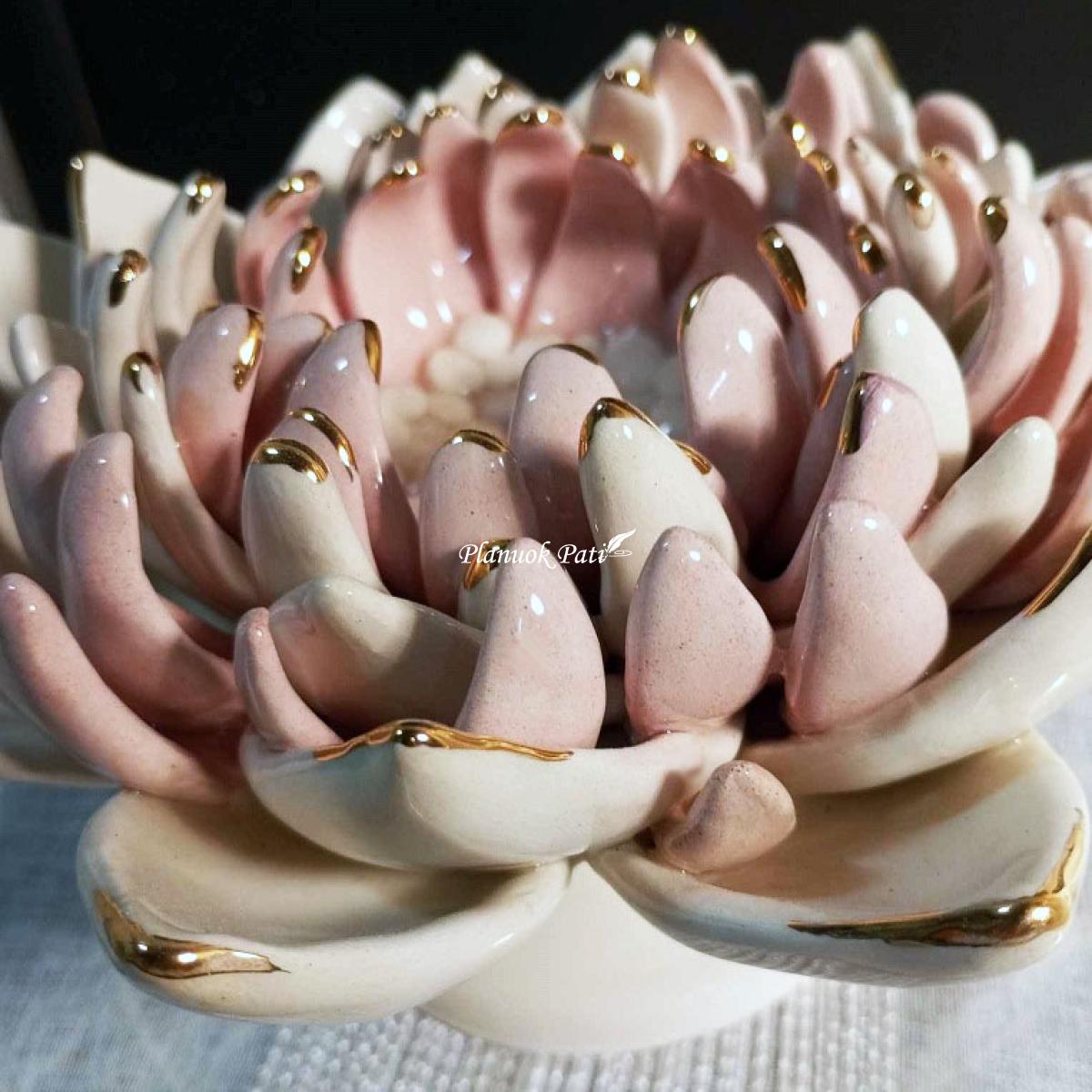 Šeimos židinys - Rožinė lelija