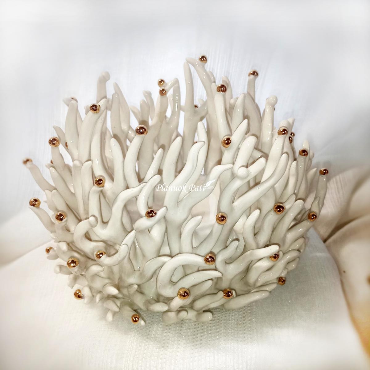 Šeimos židinys - Koralas