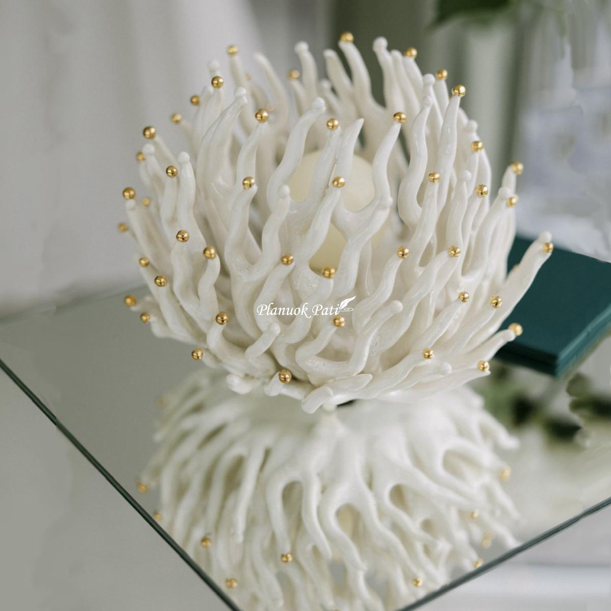 Šeimos židinys - Koralas