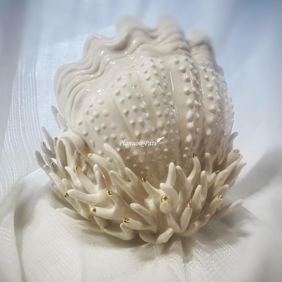 Šeimos židinys - Koralas kriauklėje