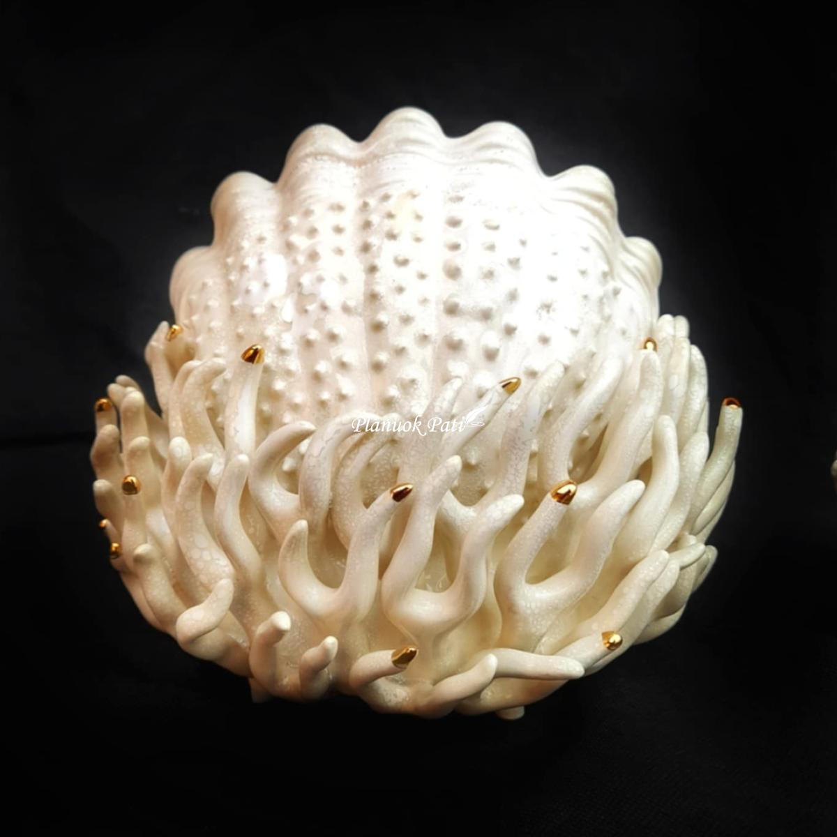 Šeimos židinys - Koralas kriauklėje