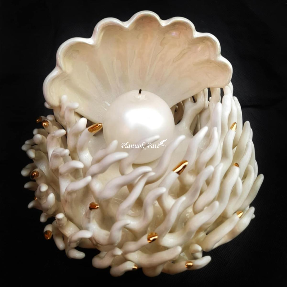 Šeimos židinys - Koralas kriauklėje