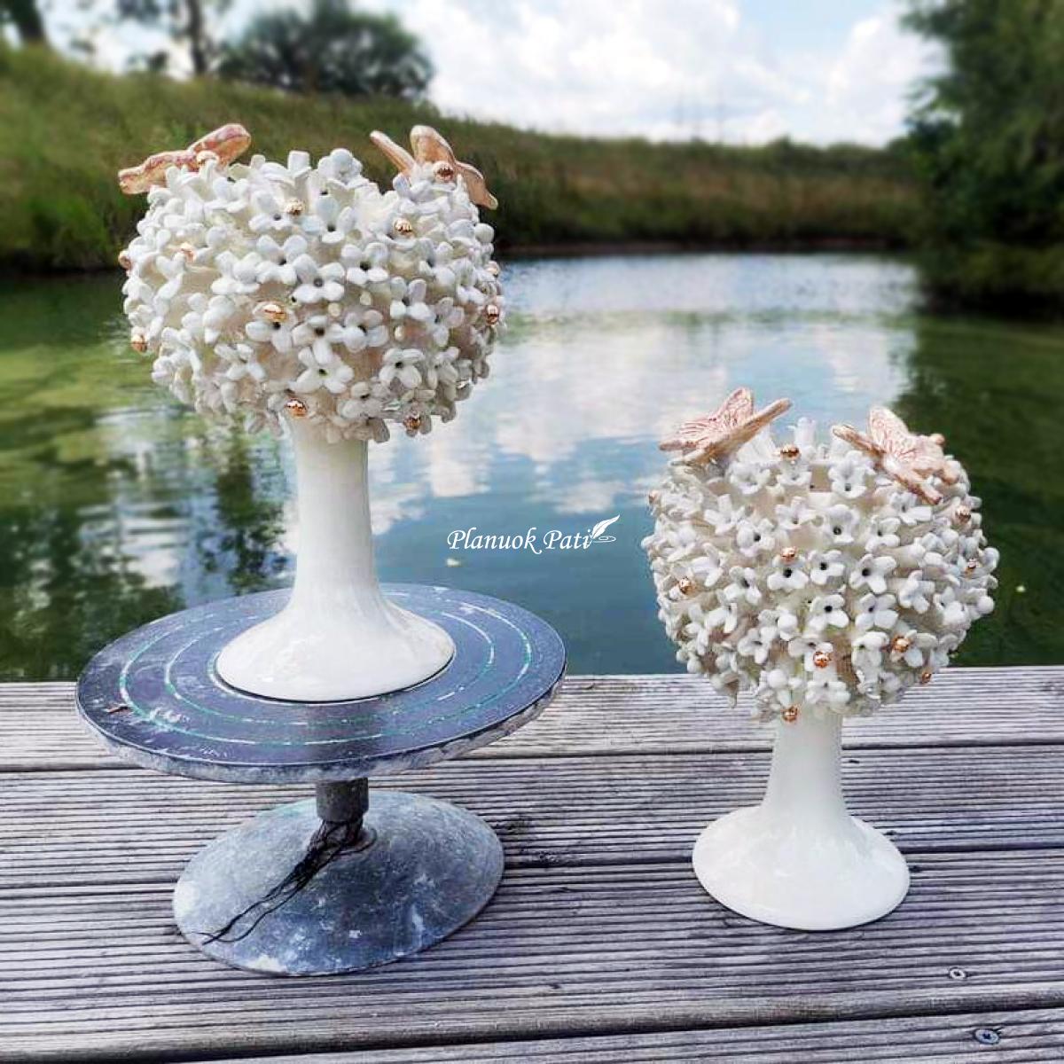 Šeimos židinys - Pienė su drugeliais