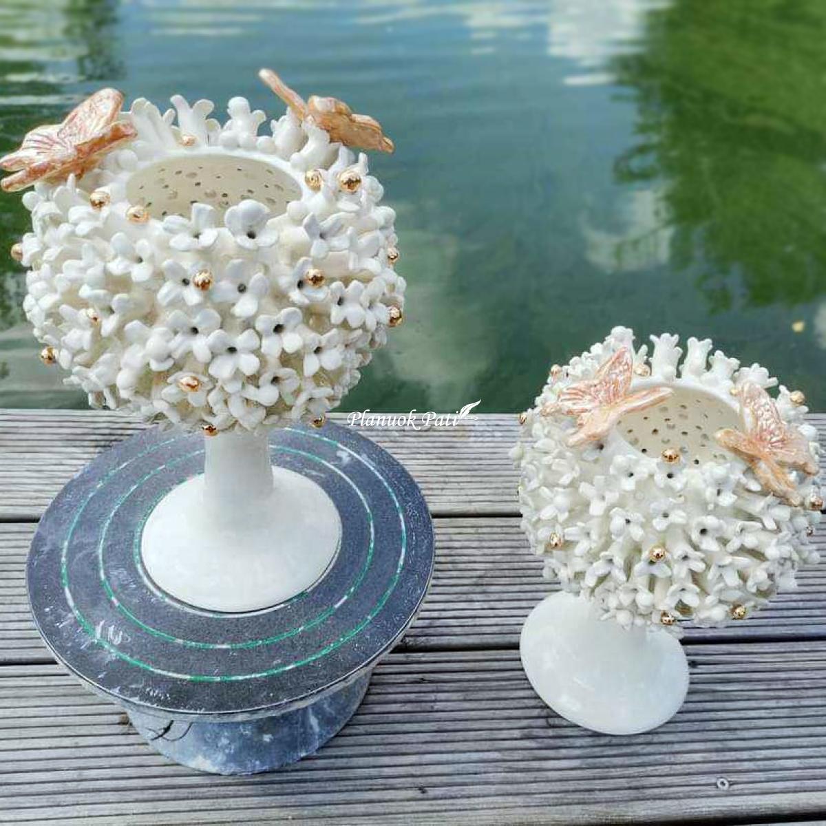 Šeimos židinys - Pienė su drugeliais