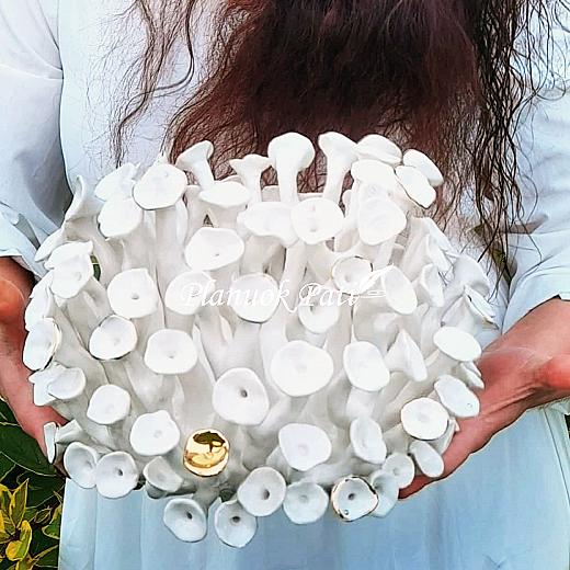 Šeimos židinys - Saulės koralas