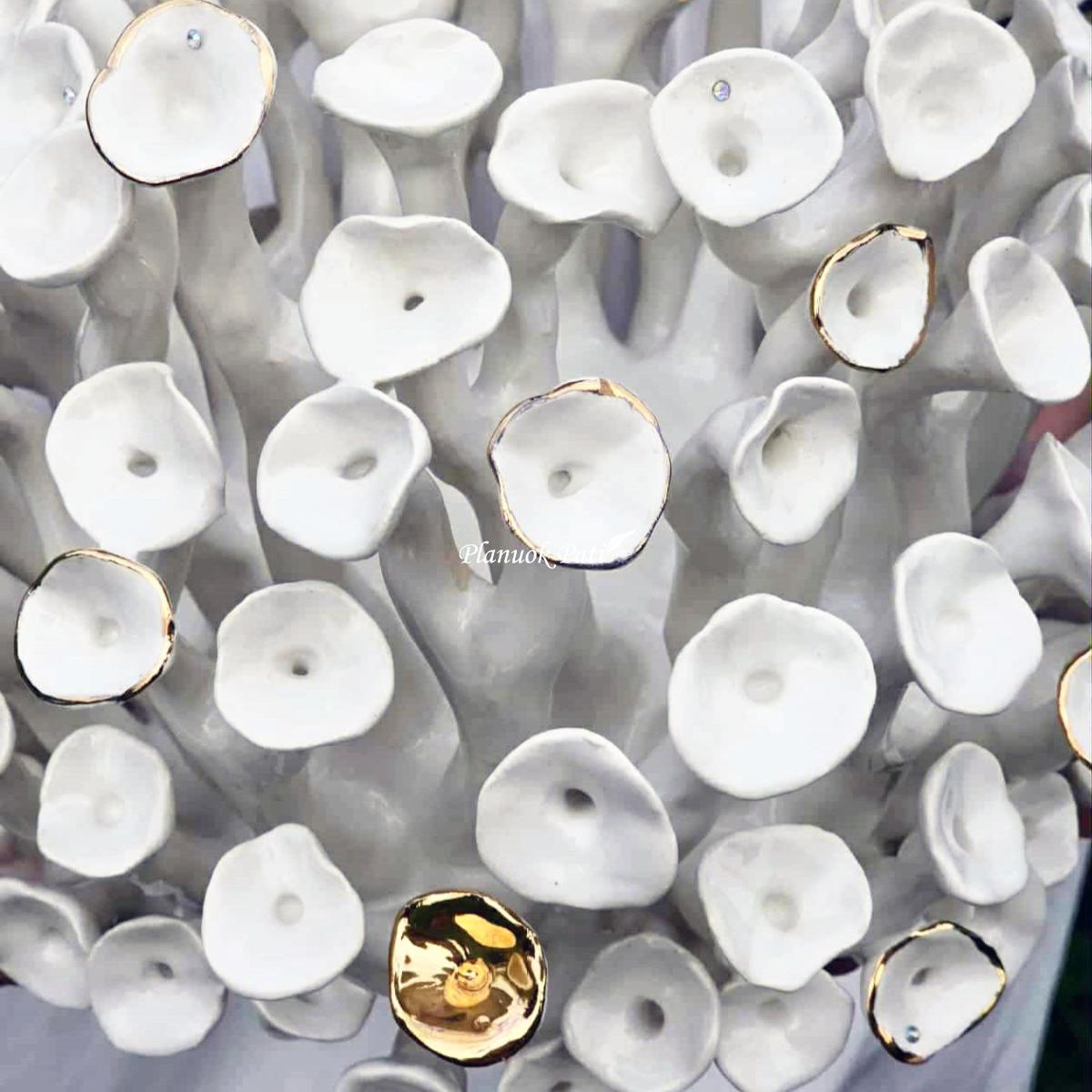 Šeimos židinys - Saulės koralas