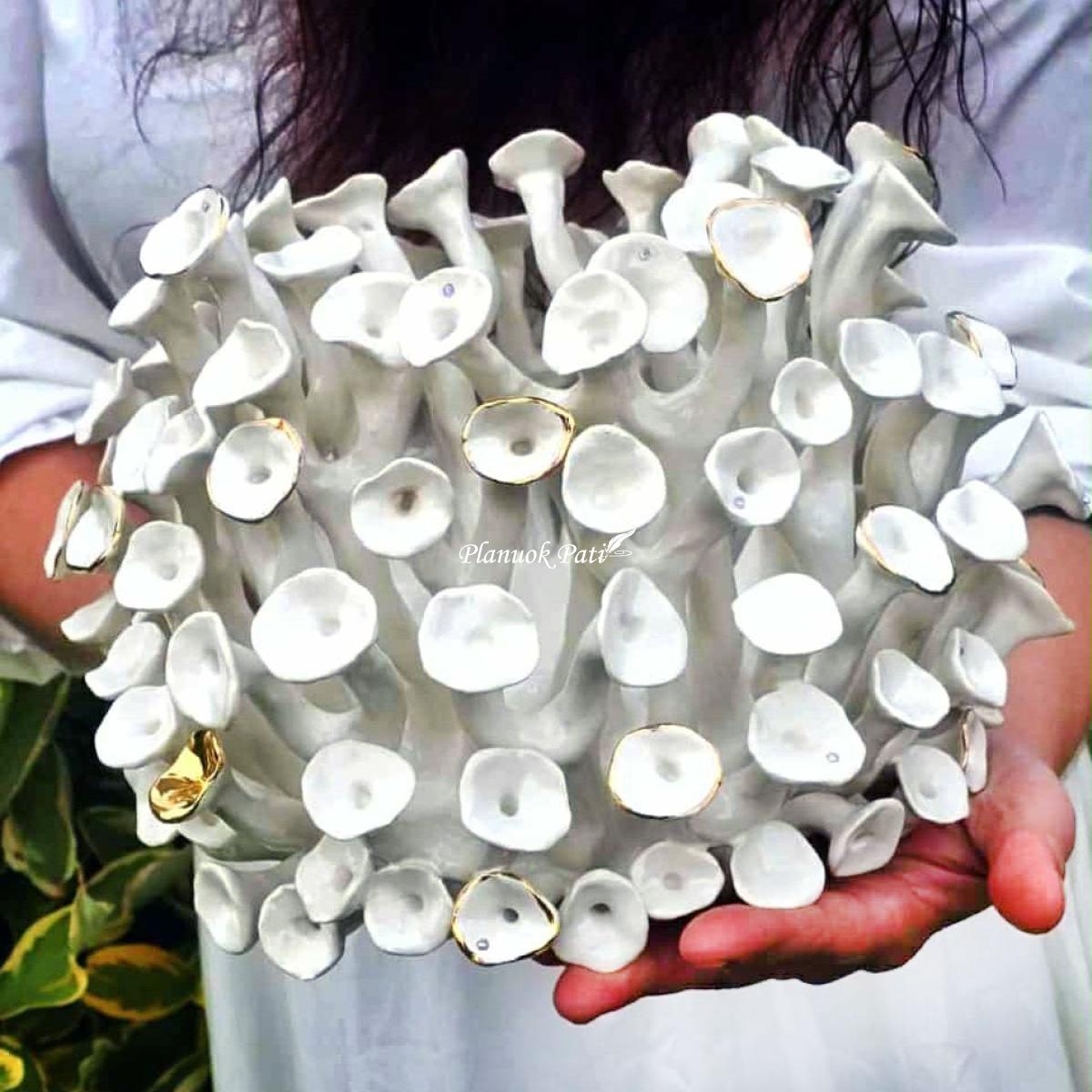 Šeimos židinys - Saulės koralas