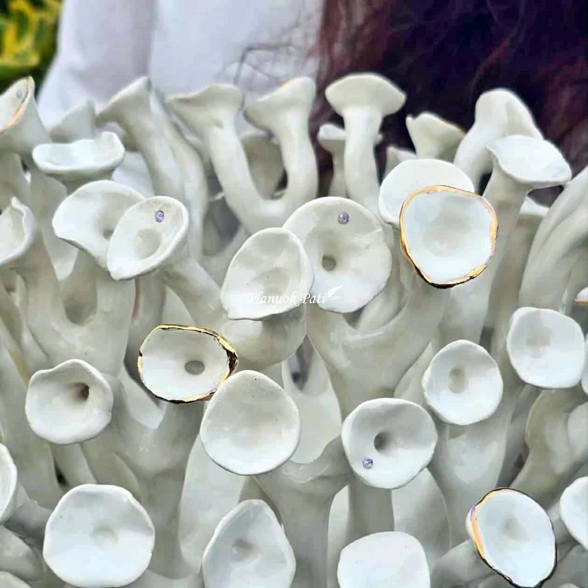 Šeimos židinys - Saulės koralas