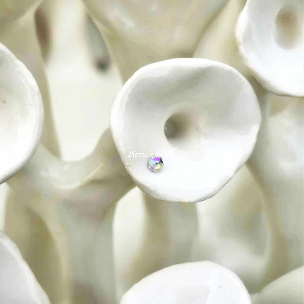 Šeimos židinys - Saulės koralas