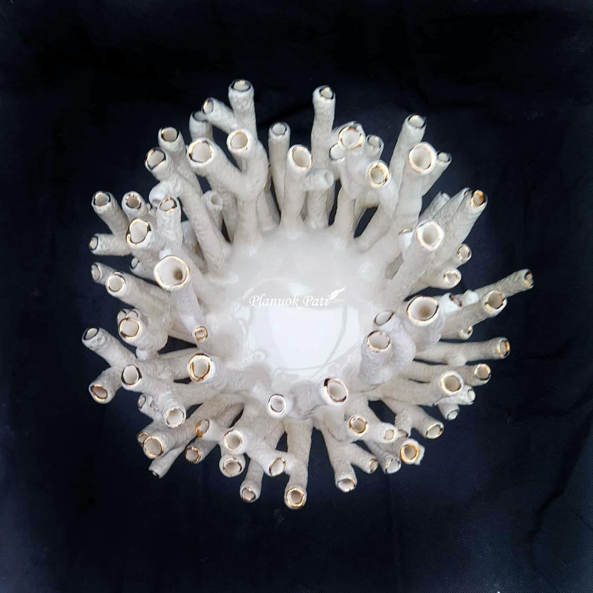 Šeimos židinys - Muzikos koralas