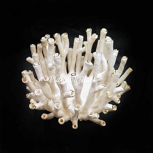 Šeimos židinys - Muzikos koralas