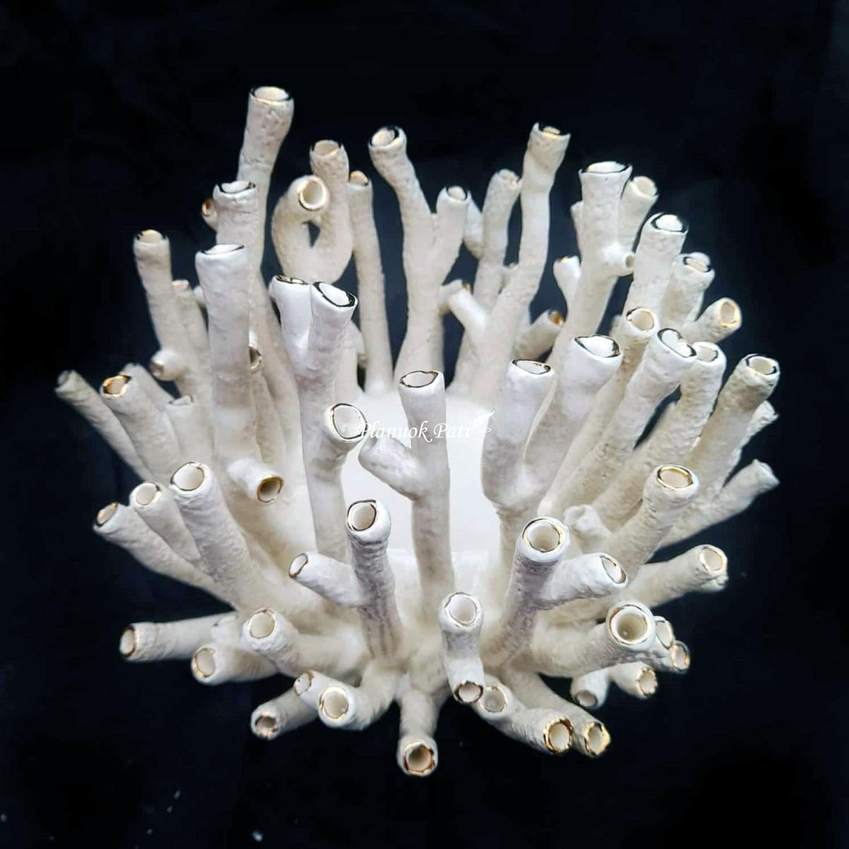 Šeimos židinys - Muzikos koralas