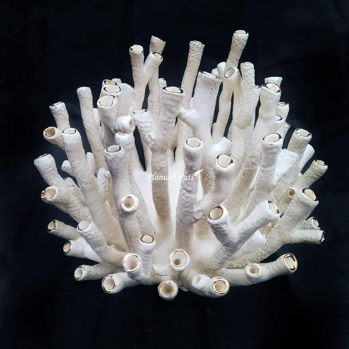 Šeimos židinys - Muzikos koralas