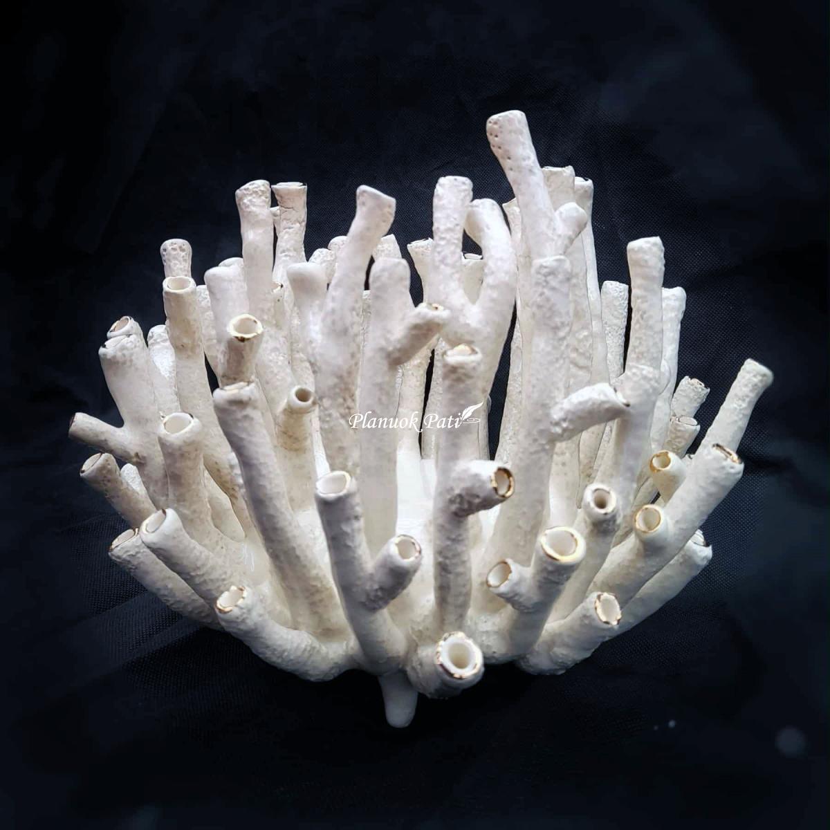 Šeimos židinys - Muzikos koralas