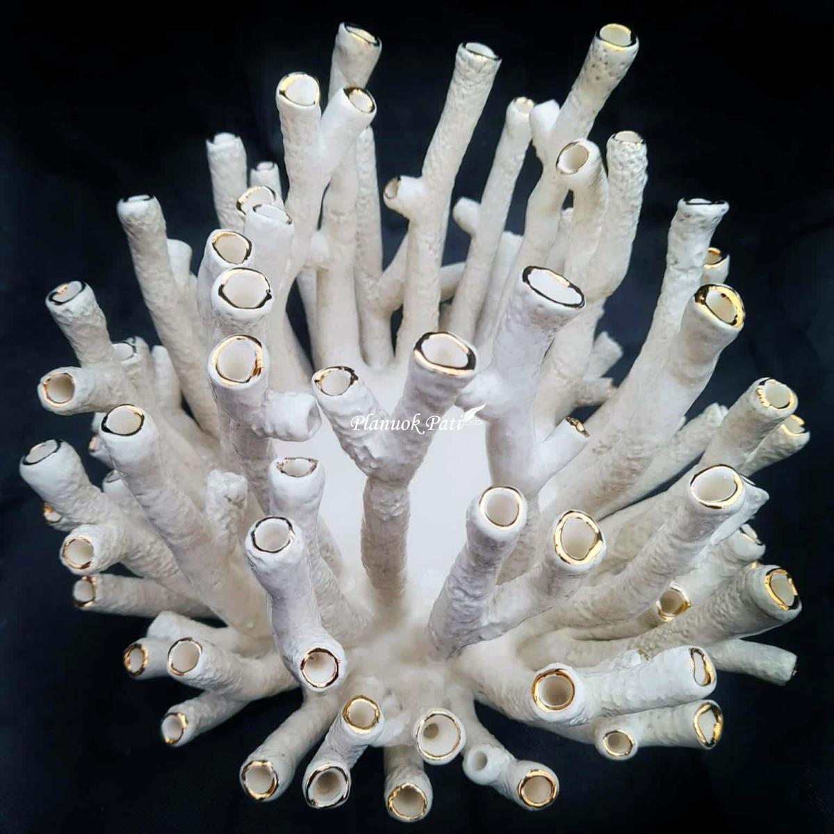 Šeimos židinys - Muzikos koralas