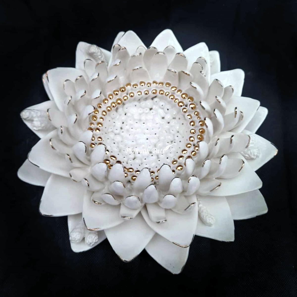 Šeimos židinys - Siauralapė lelija