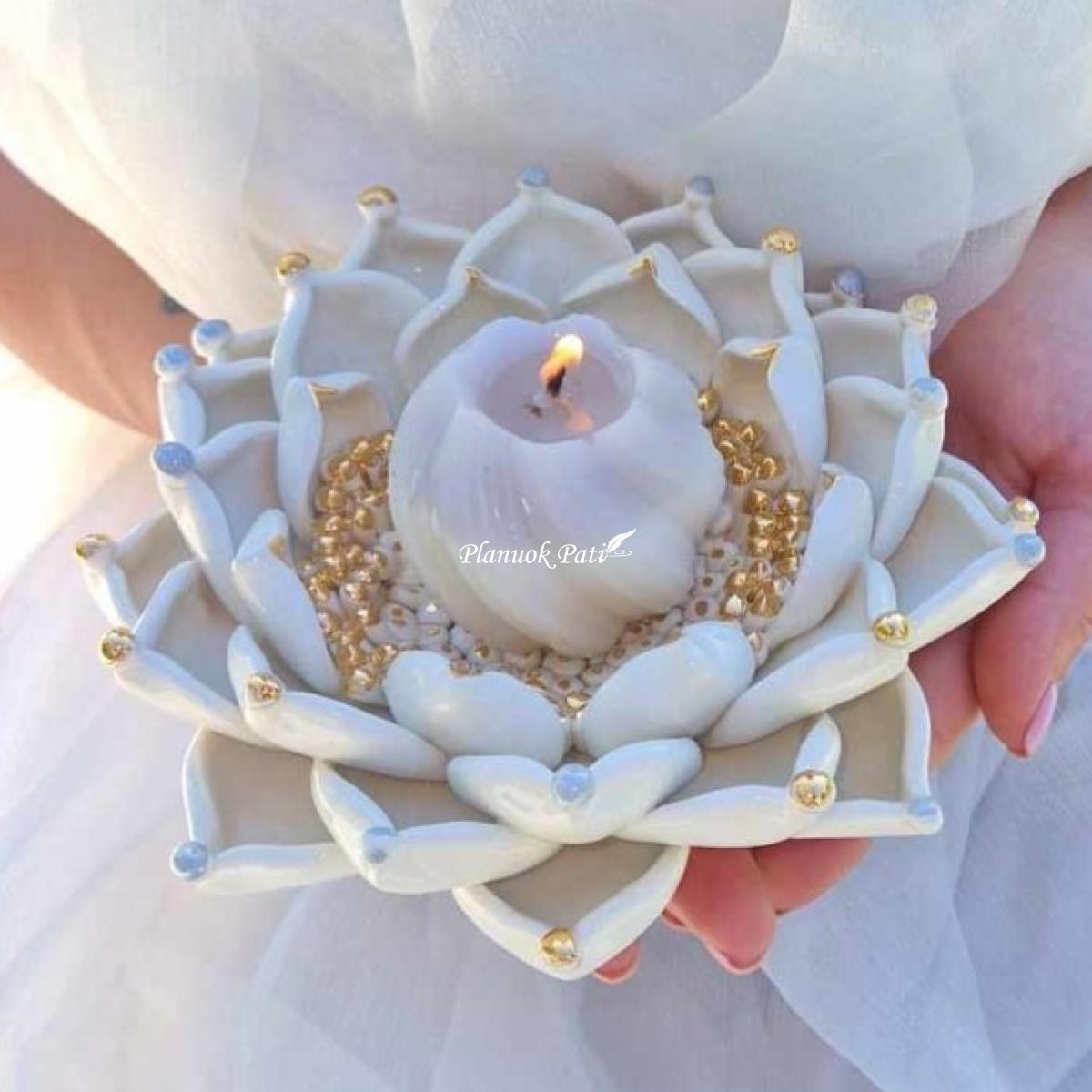 Šeimos židinys - Karališka lelija