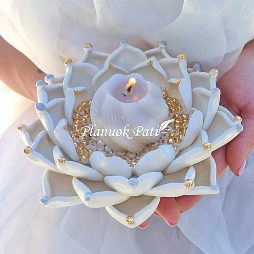 Šeimos židinys - Karališka lelija